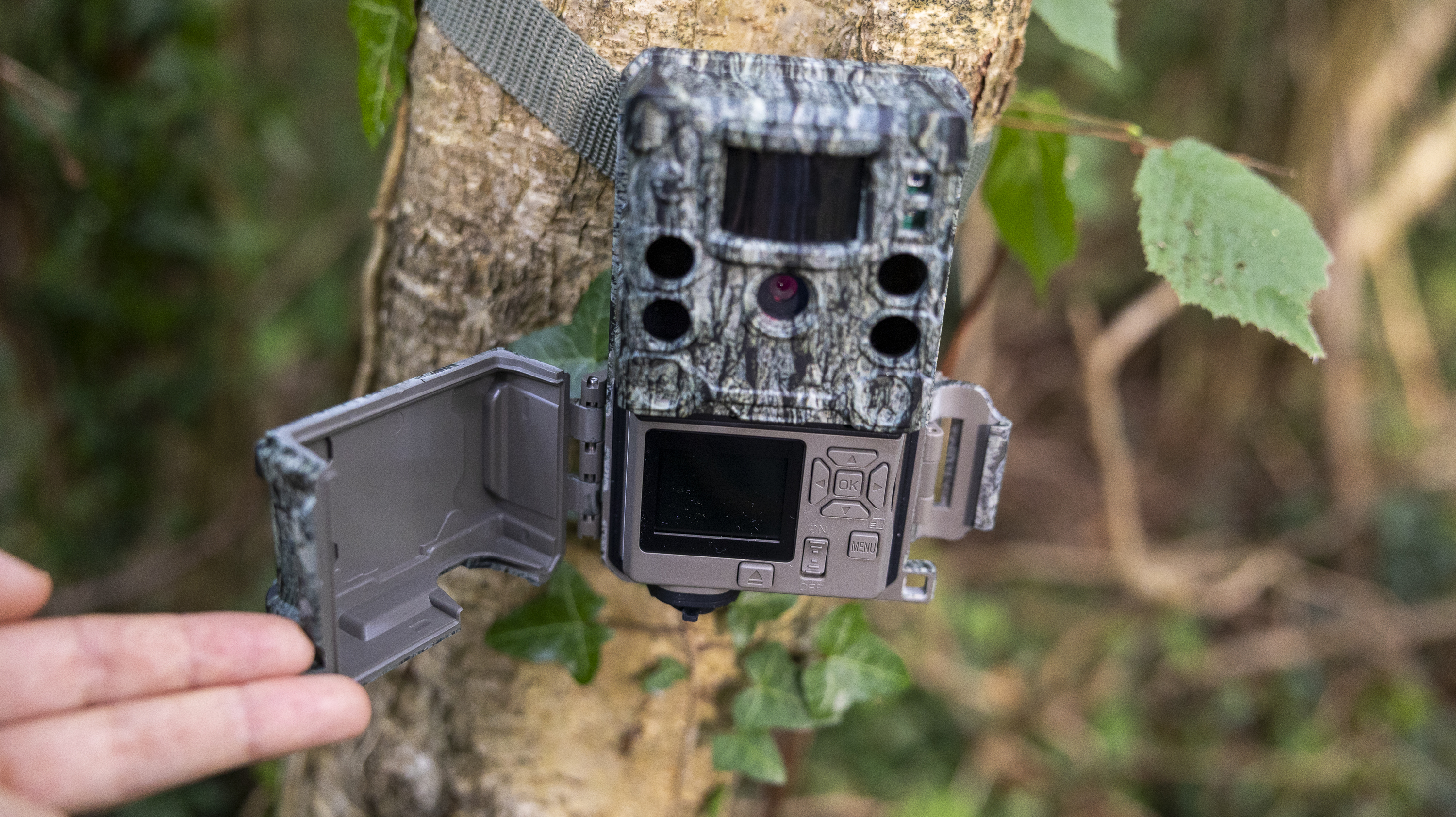 The Bushnell Core S-4K No Glow trail camera mounted on a woodland tree