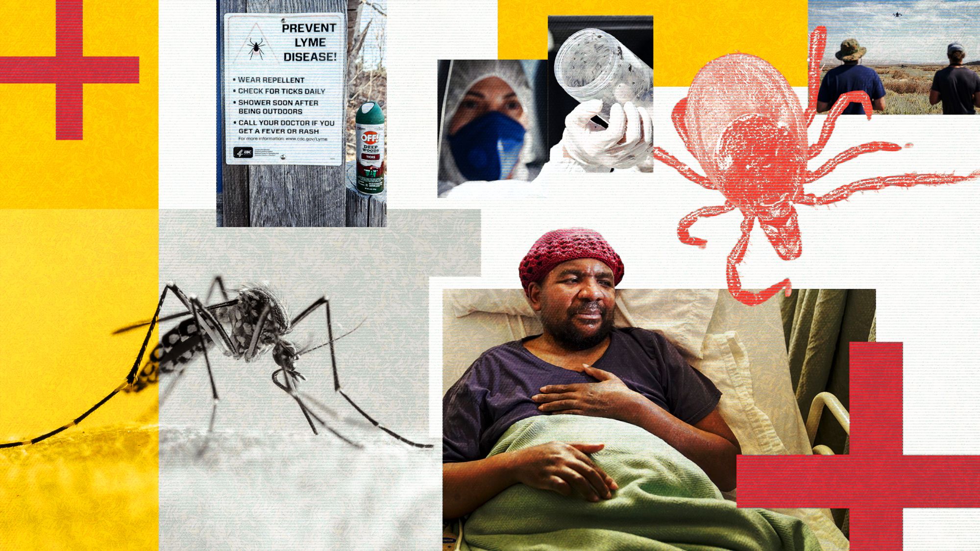 Infectious diseases will seed new ground as the planet warms — here’s where they’ll spread Infectious diseases will seed new ground as the planet warms — here’s where they’ll spread