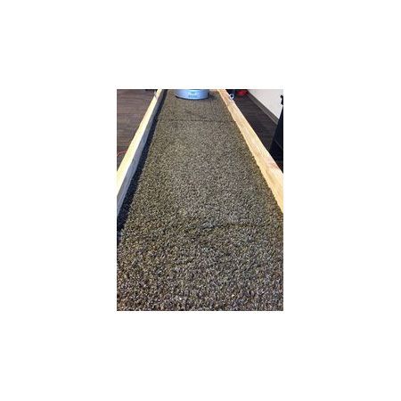 We tested the bObsweep bObi Pet on carpeting, vinyl and wood floors.