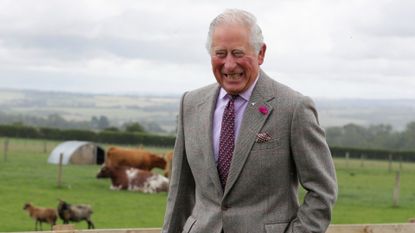 Prince Charles, Prince of Wales checks out some sheep at The Great Yorkshire Show on July 13, 2011 in Harrogate, England