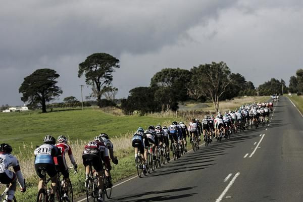 The peloton enroute to Peterborough