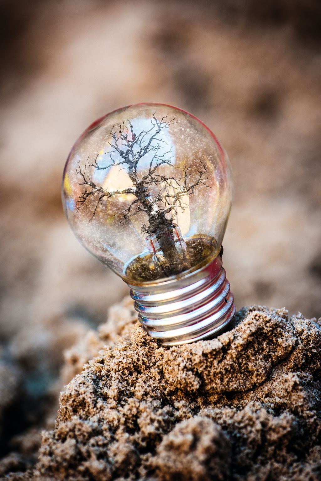 Make a snow globe 6 festive photo ideas to try this Christmas Page