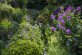 A lush cottage garden