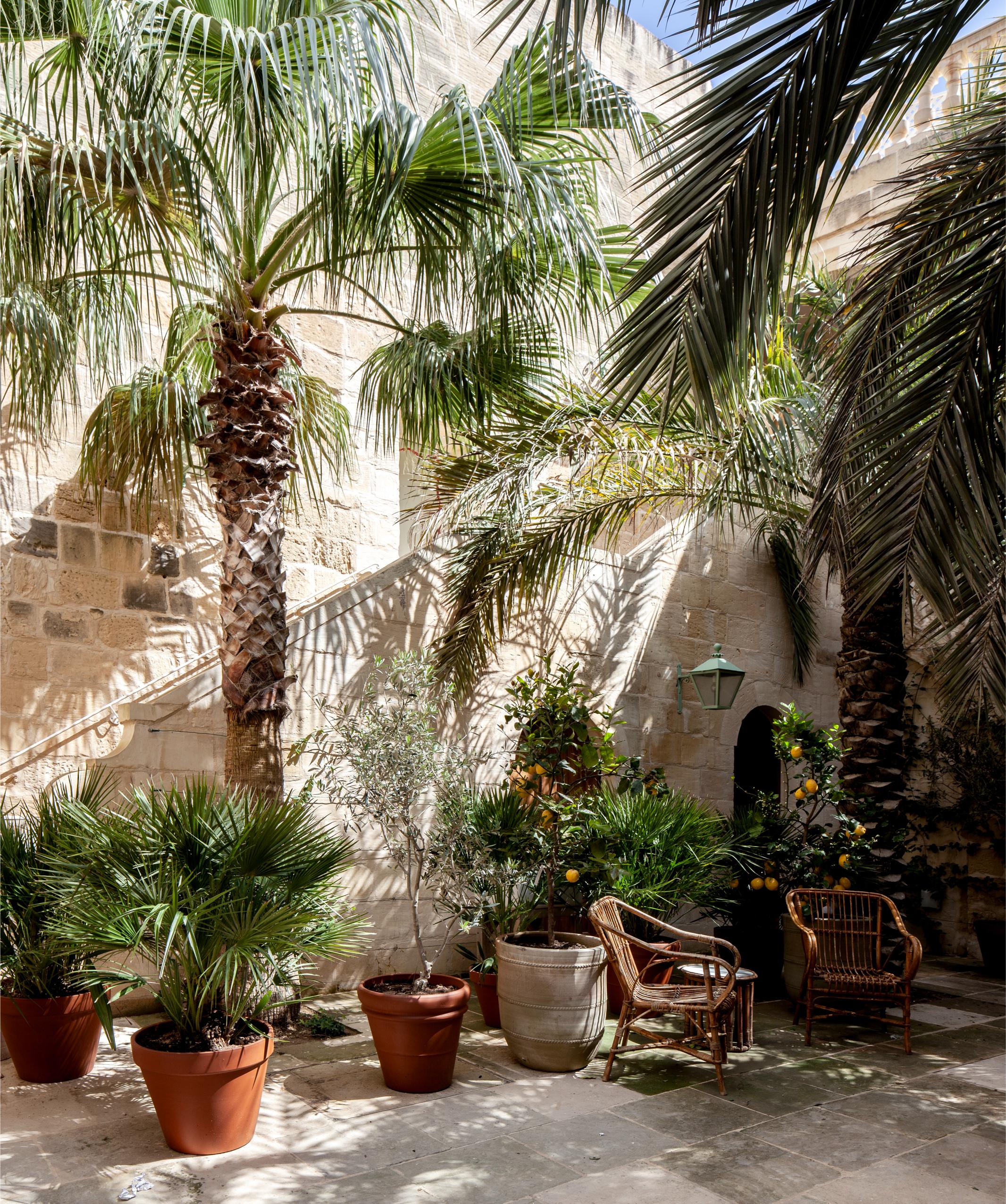 Hotel gardens Casa Bonavita