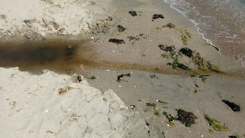 Dark murky oil mixes with water that flows across the sand of a beach into the ocean.