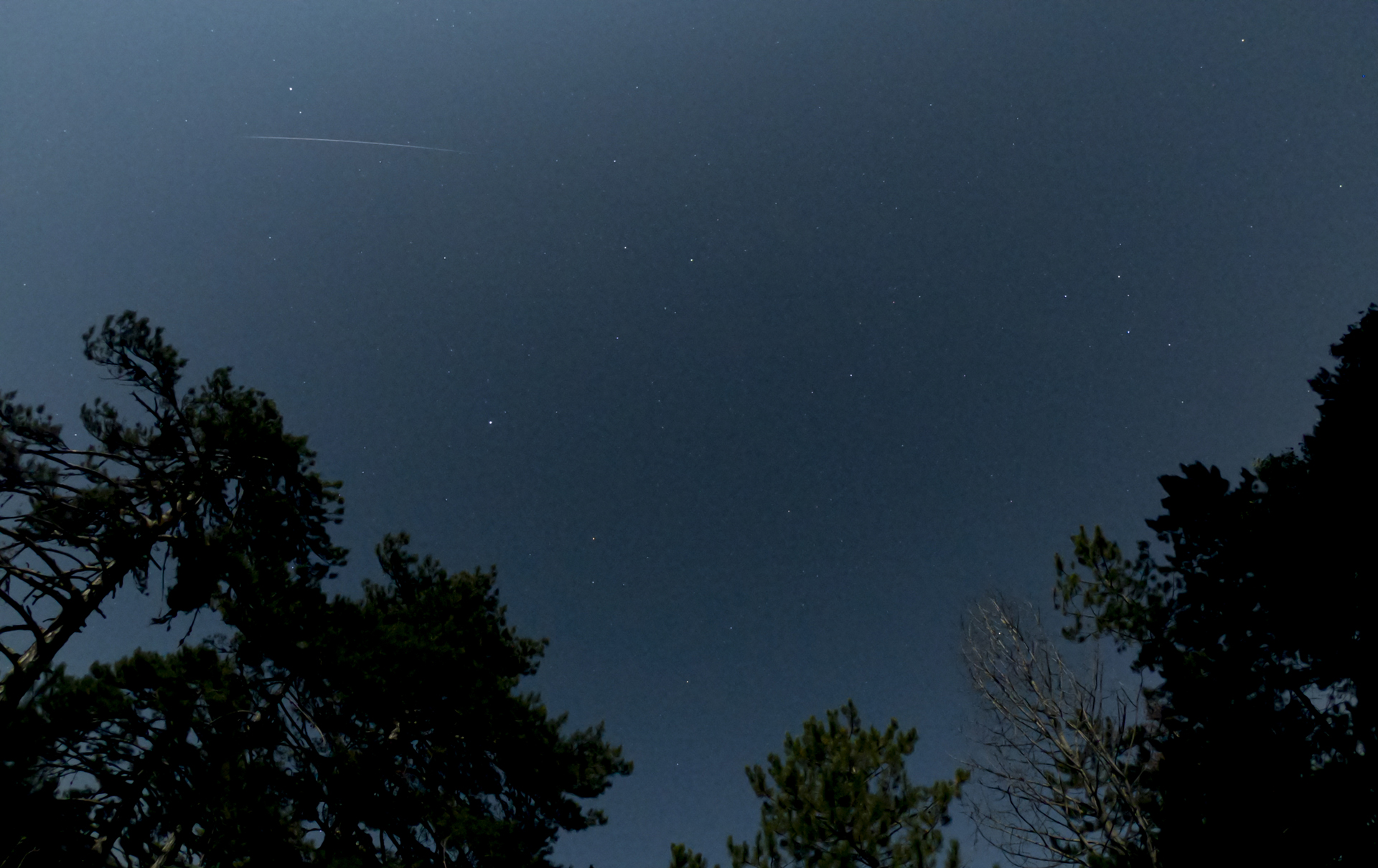 A dim Perseid meteor over trees in Turkey.