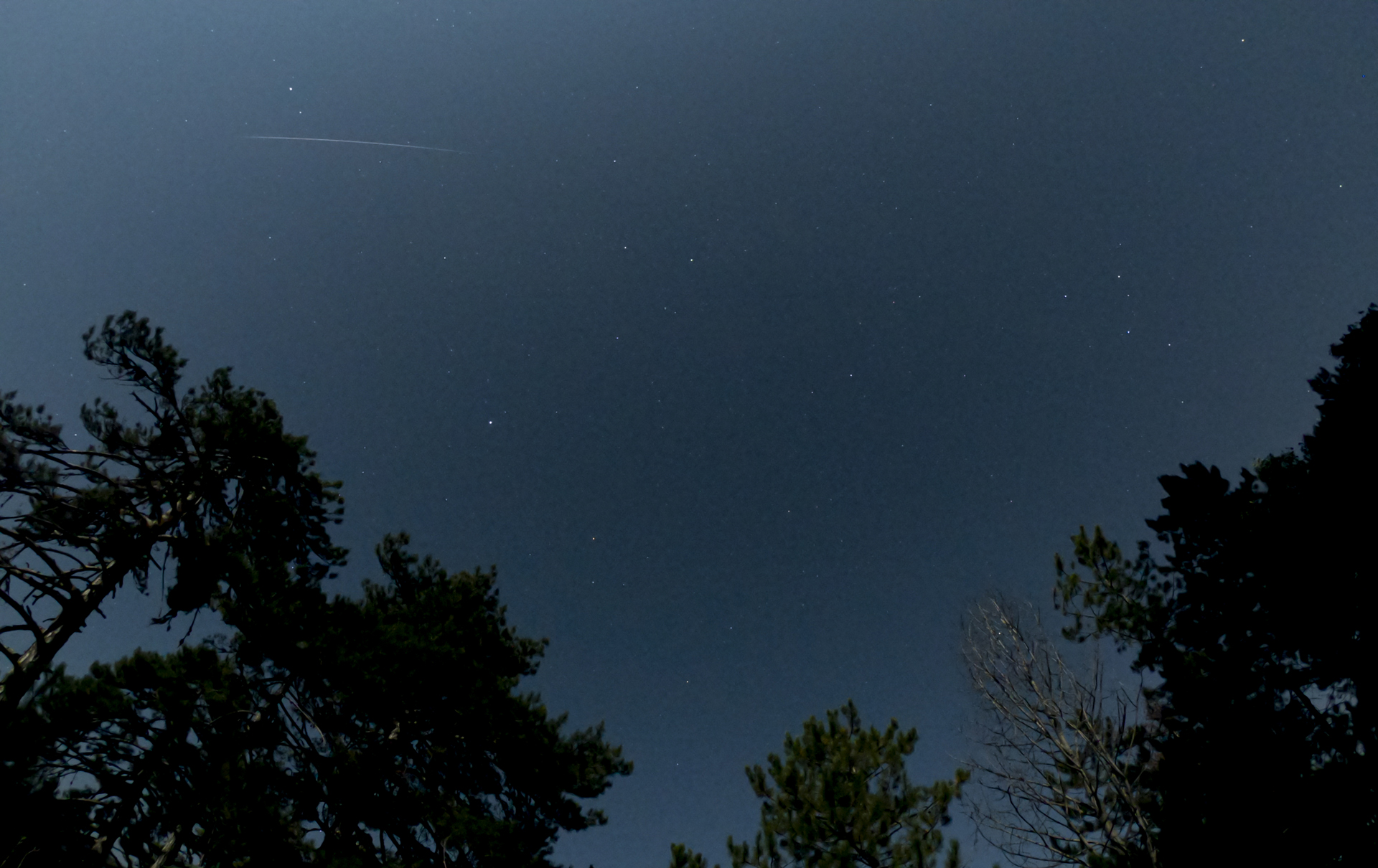 Meteor Perseid samar di atas pepohonan di Turki.