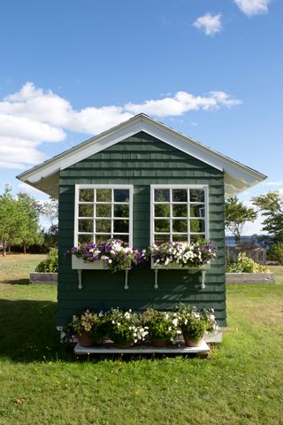 a green outbuilding shed with flowering window boxes