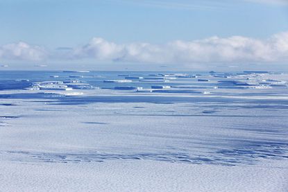 Scientists believe climate change is behind large pieces of ice breaking off.
