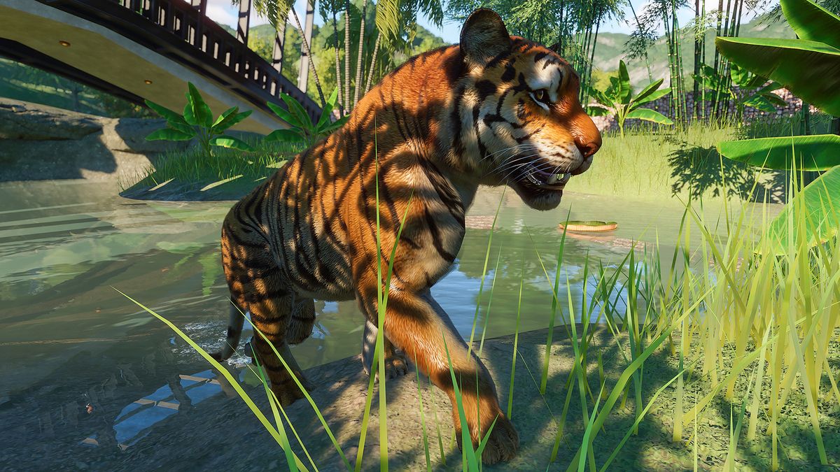 11 Planet Zoo tips we swear by - how to make the best zoo ever | GamesRadar+