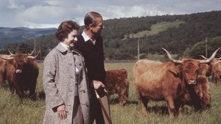 Queen Elizabeth II and Prince Philip in a field with some highland cattle at Balmoral, Scotland