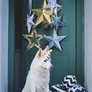 Green front door with star decorations and a dog sat outside.
