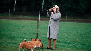 Queen Elizabeth II outside with her dogs