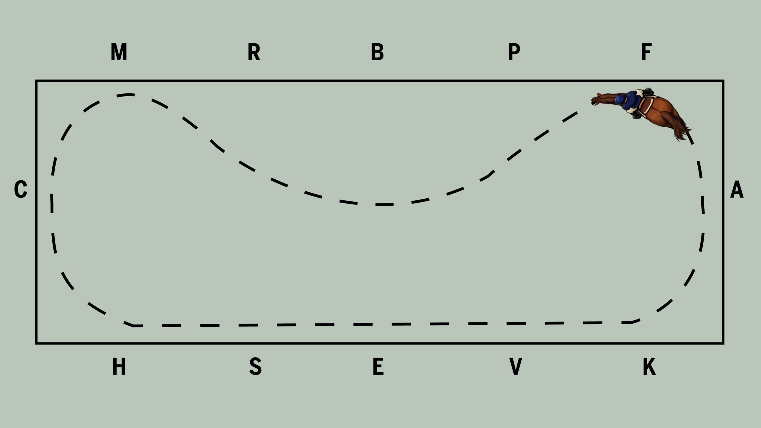 Diagram of a long 20x60m arena with a dotted line showing a 10m loop