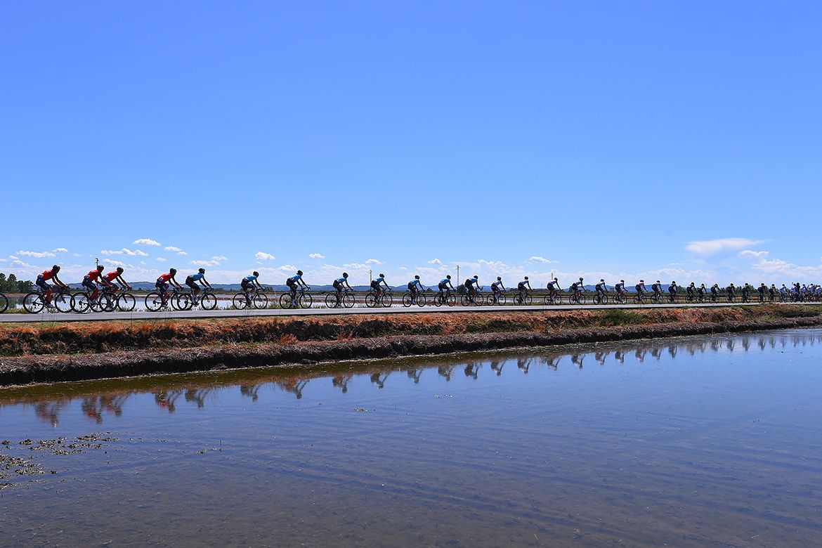 The pack on the Giro d'Italia's stage 14