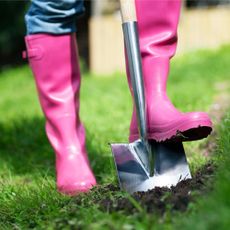 A gardener in pink rain boots digs in grass with a shovel