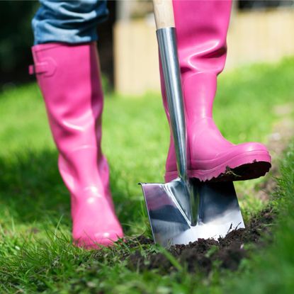 A gardener in pink rain boots digs in grass with a shovel
