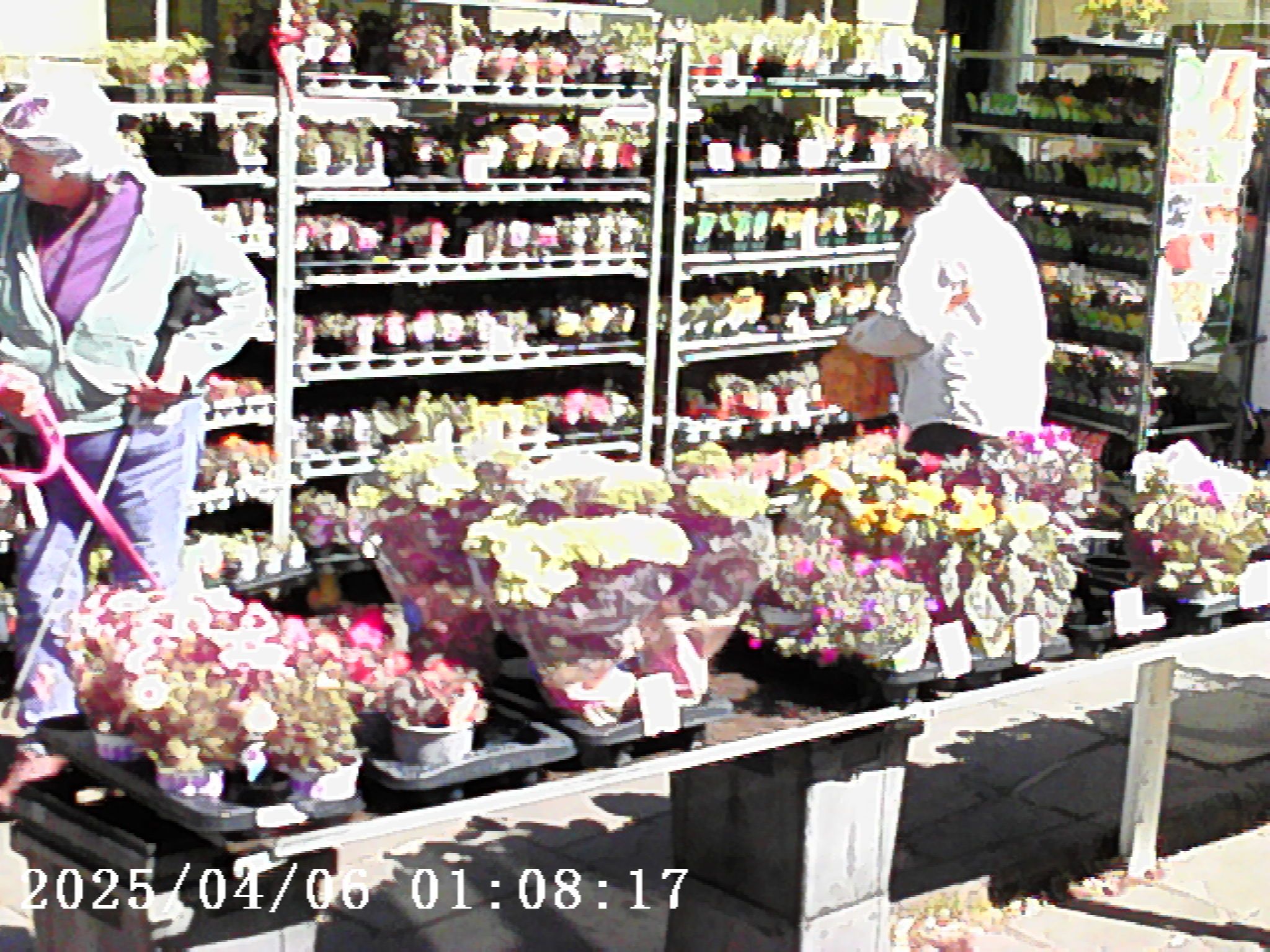 Photo Creator Mini Cam sample image