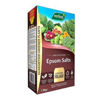 Brown box of Westland Epsom salts with pictures of plants and vegetables on the front on a white background