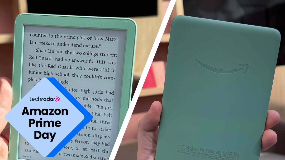 I've always owned physical books, but Amazon's standard Kindle takes away the inconvenience of traveling with multiple novels — and it's a great way to pass the time while soaking in the sun