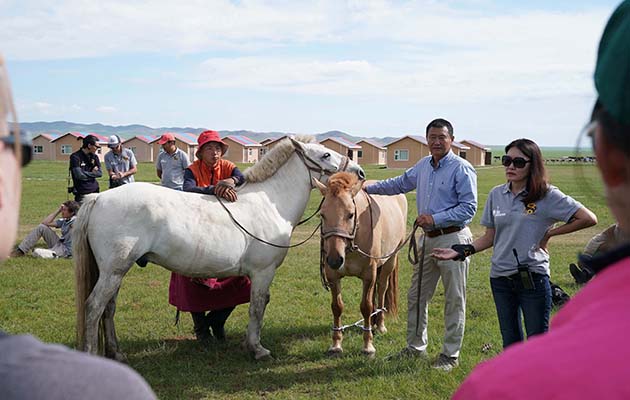 Mongol Derby