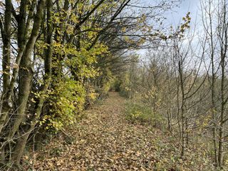 iPhone 12 Pro Max sensor test