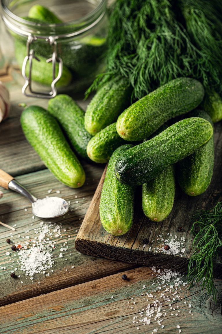 How to grow cucumbers in pots and in the ground Homes & Gardens