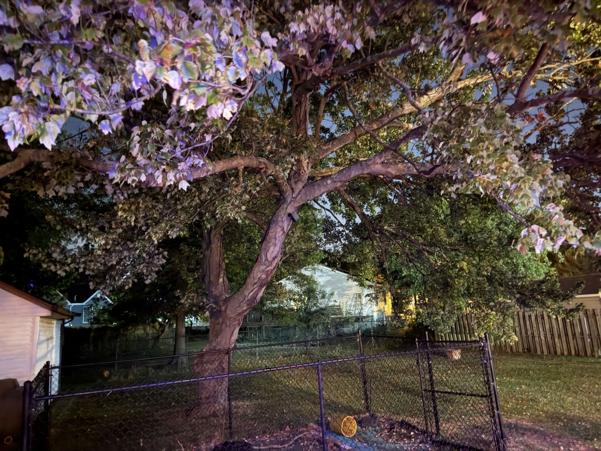 Apple iPhone 16 Pro Max low light sample.