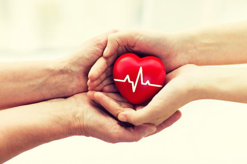 In an image representing organ donation, one person&#039;s hands give a plastic heart to another person.