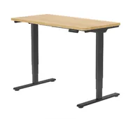 FlexiSpot E5