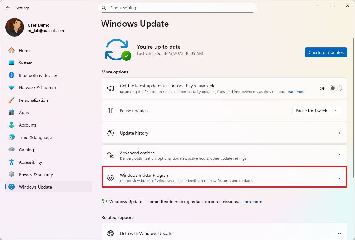 Settings app open Windows Insider Program page