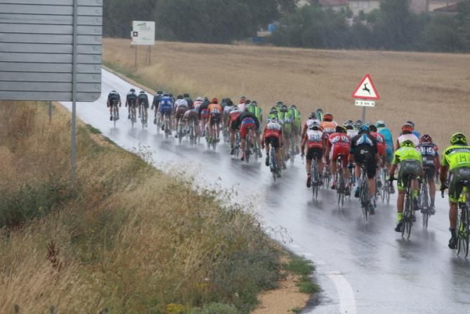 The peloton in the rain