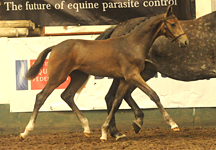 RF1_0421_Quinlan_Z_Zang.jpg
