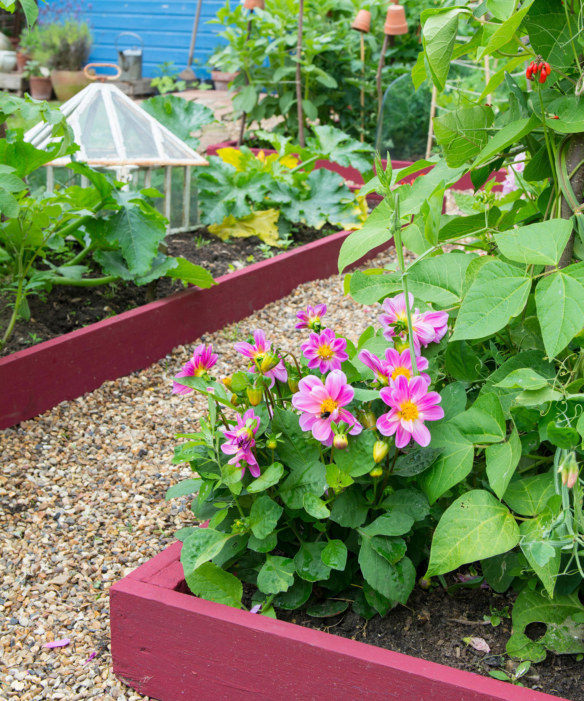 how-wide-should-a-raised-garden-bed-be-expert-advice