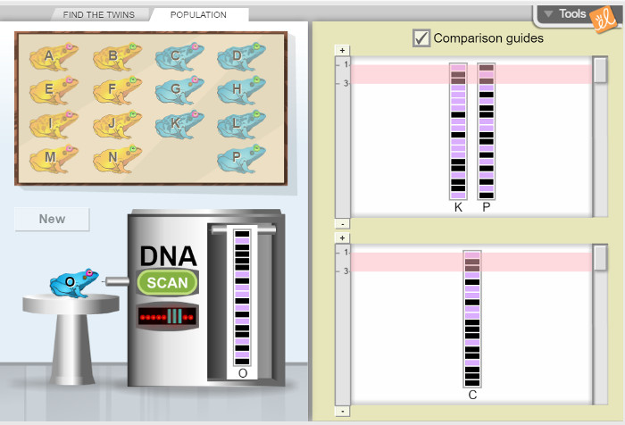 STEM Sims Let Kids Explore Topics From Algebra to Zoology