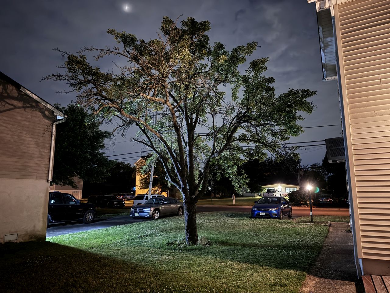 Apple iPhone 15 Pro low light sample.