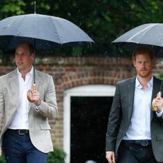 Prince William and Prince Harry visit The Sunken Garden at Kensington Palace on August 30, 2017.