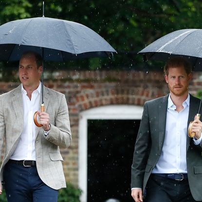 Prince William and Prince Harry visit The Sunken Garden at Kensington Palace on August 30, 2017.