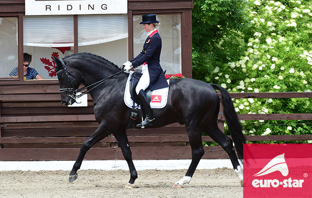 Amazing! He is by dream guy. He is rising nine-years-old, working on the GP movements now as he has done what he needs to do at small tour and I can’t wait to have him come out at the next level. I think he could be magic, black magic!