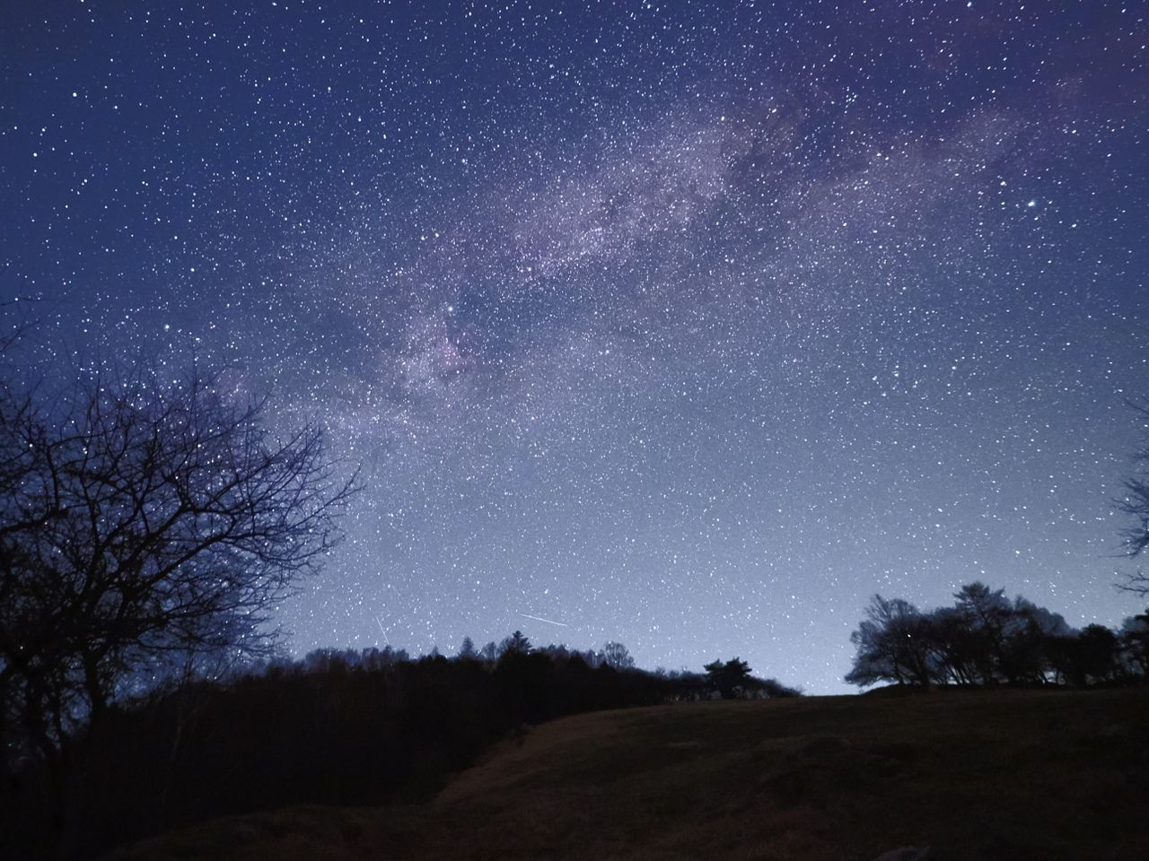 Sample image taken with the OM-3 Astro