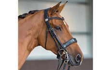 fairfax performance bridle
