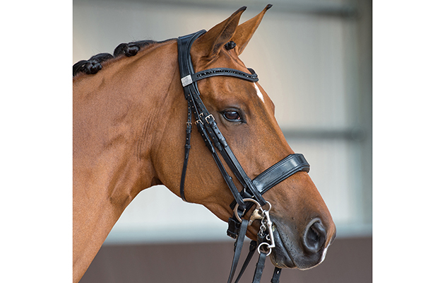 fairfax performance bridle
