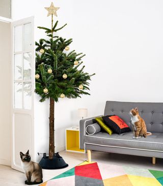 white living room with grey sofa and christmas tree