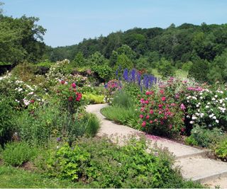 Pea gravel garden path with beautiful planting