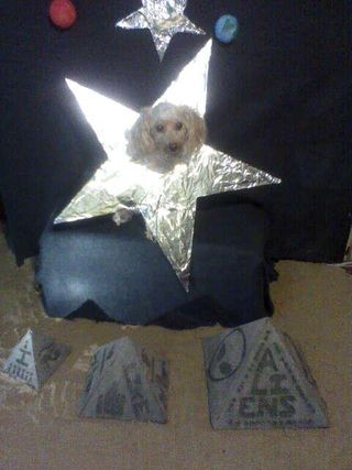 'Sirius, the Dog Star' Costume by Amy Baker