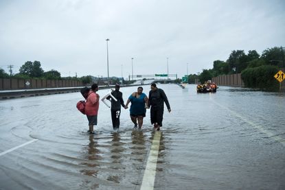 Houston's devastating flood.