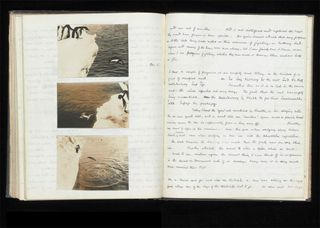 Levick kept his notes on the penguins in two separate notebooks, one of which was for the "depraved" sexual acts he observed. The notebook, some coded in Greek, is being displayed until Sept. 2, 2012 at the Natural History Museum's exhibition "Scott's Last Expedition."