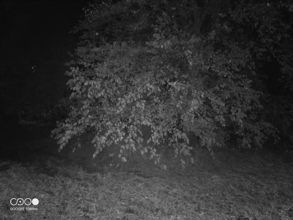 DOOGEE S98 Pro review: Night Vision Camera