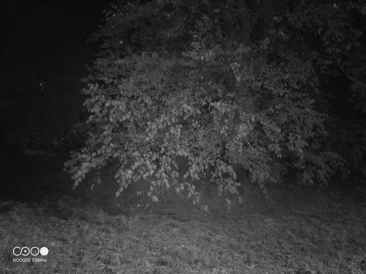 DOOGEE S98 Pro review: Night Vision Camera