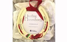 Hoofing-Horseshoes2.jpeg